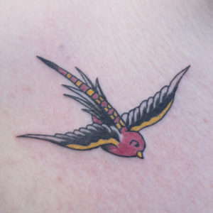 Swallow tattoo by Chris McGuire