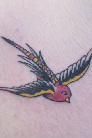 Swallow tattoo by Chris McGuire